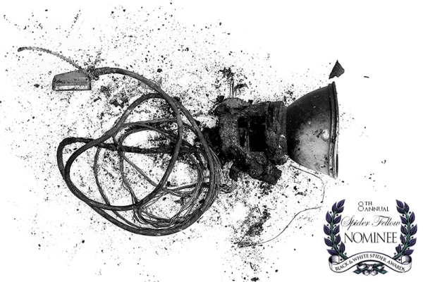 spider-awards-nomination