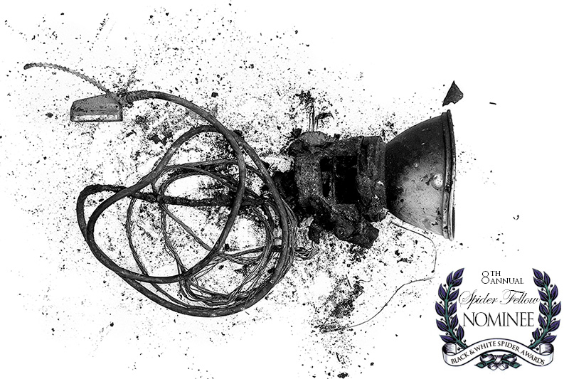 spider-awards-nomination